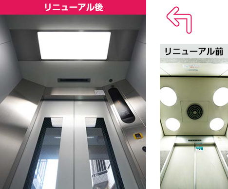 かご室天井