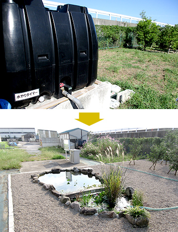 建屋雨樋からの雨水を池に導水し、雨水を利用したビオトープ管理