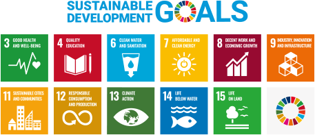 Toshiba Group and the SDGs