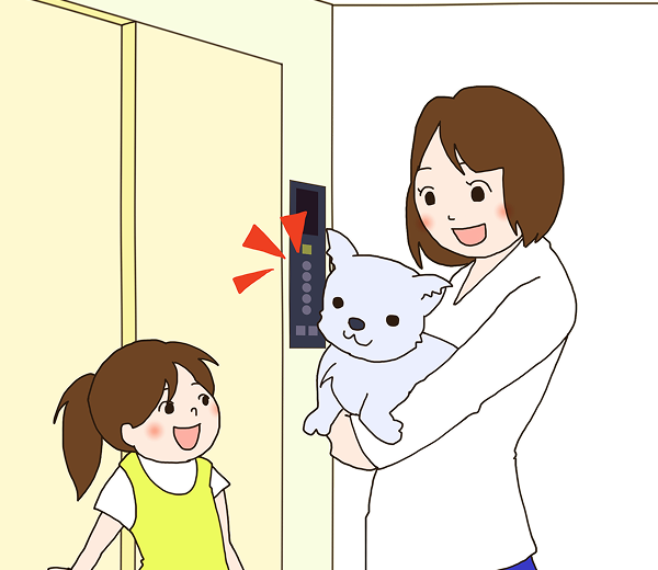 Pets must be placed in a designated carrier or carried in your arms.