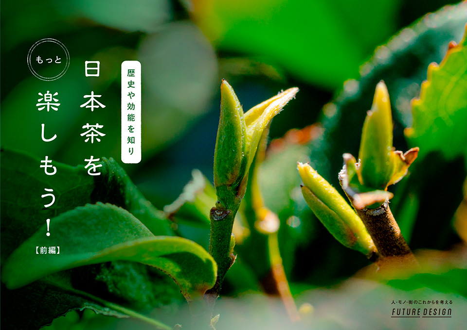 日本茶を楽しもう！【前編】