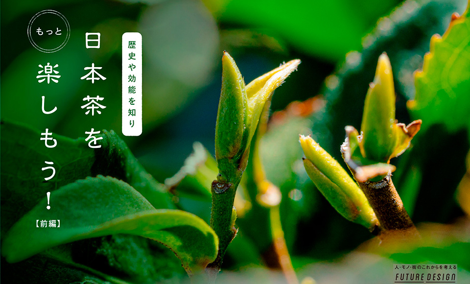 日本茶を楽しもう！（前編）