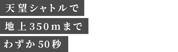 東京スカイツリー 新卒採用 東芝エレベータ 東京スカイツリー 新卒採用 東芝エレベータ