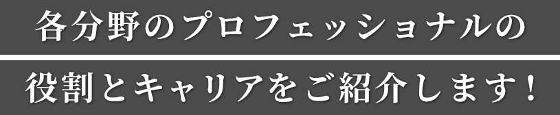 各分野のプロフェッショナルの役割とキャリアをご紹介します!