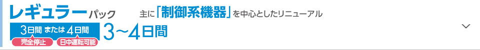 レギュラーパック