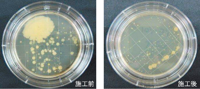 施工前後の細菌比較